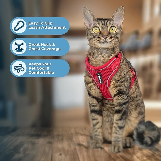 Voyager Escape Proof Cat Harness and Leash Set with Reflective Stitching, Neoprene Handle 5ft - Supports Small, Medium and Large Cats, Kittens for Walking by Best Pet Supplies - Red, XXXS