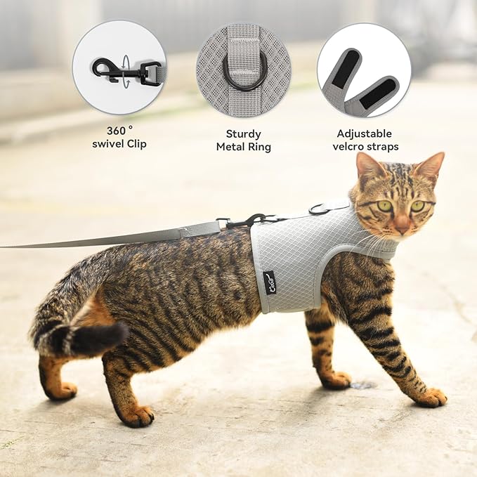 Cat Harness and Leash for Walking Escape Proof Breathable Mesh Fabric, Solid Grey, Large, Adjustable Cat Walking Jackets, Padded Stylish Cat Vest