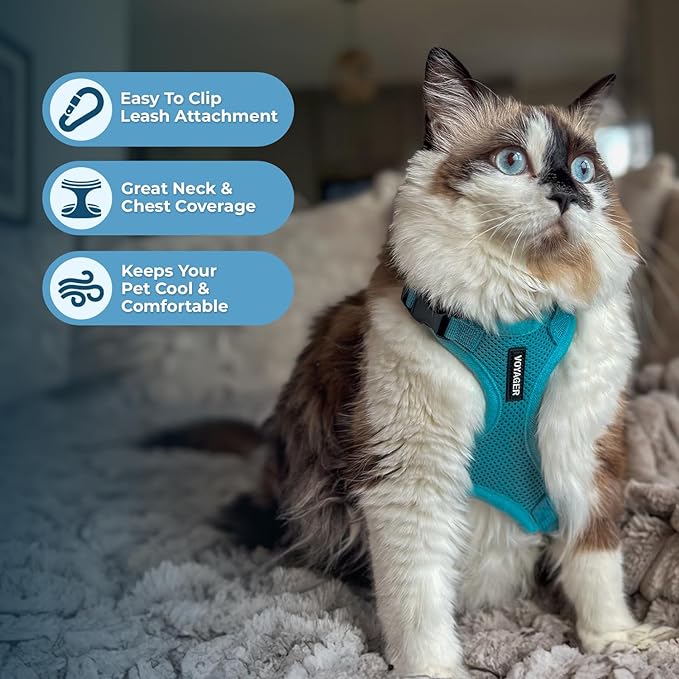 Voyager Step-in Lock Adjustable Cat Harness w. Cat Leash Combo Set with Neoprene Handle 5ft - Supports Small, Medium and Large Breed Cats by Best Pet Supplies - Turquoise, S