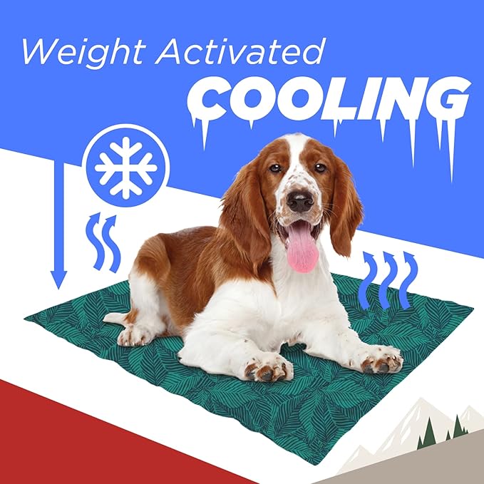 Coleman Reversible Cooling Pet Mat, Medium, 24" x 30", Navy and Teal