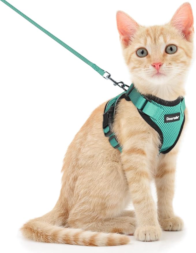 Dooradar Cat Harness and Leash Set, Escape Proof Safe Adjustable Kitten Vest Harnesses for Walking, Easy Control Soft Breathable Mesh Jacket with Reflective Strips for Cats, Green, S