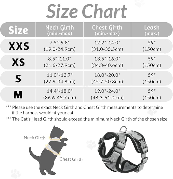 rabbitgoo Cat Harness and Leash for Walking, Escape Proof Soft Adjustable Vest Harnesses for Cats, Easy Control Breathable Reflective Strips Jacket, Grey, M