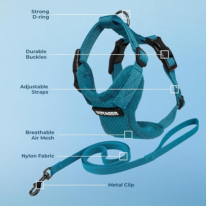 Voyager Step-in Lock Adjustable Cat Harness w. Cat Leash Combo Set with Neoprene Handle 5ft - Supports Small, Medium and Large Breed Cats by Best Pet Supplies - Turquoise, XS