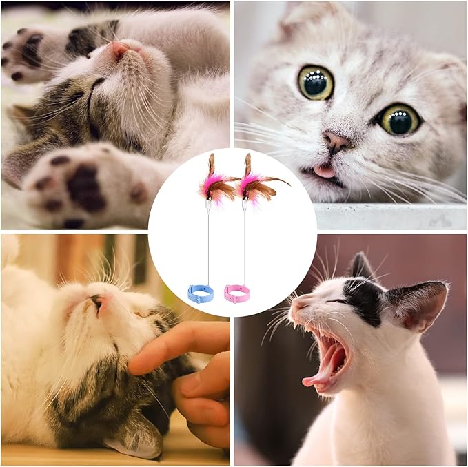 AIEX Cat Teaser Toy, Cat Wand Toy Retractable with Silicone Collar Interactive Cat Toys Attached with Feather for Indoor Cat Kitten Exercise Training (Blue, Pink)
