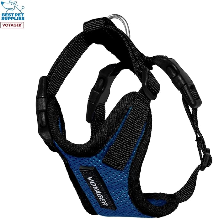 Voyager Step-in Lock Adjustable Cat Harness w. Cat Leash Combo Set with Neoprene Handle 5ft - Supports Small, Medium and Large Breed Cats by Best Pet Supplies - Royal Blue/Black Trim, XXS