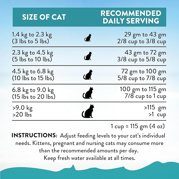 Addiction Salmon Bleu – Premium New Zealand King Salmon Recipe – Skin, Coat & Cognitive Health - Complete & Balanced - Omega-3 Rich - Grain-Free Dry Cat Food for All Life Stages – 4lbs