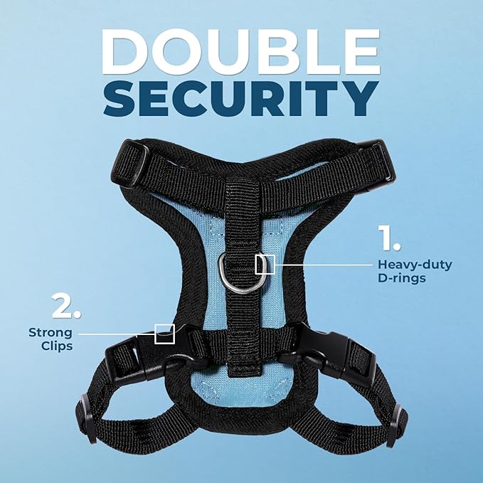 Voyager Step-in Lock Adjustable Cat Harness w. Cat Leash Combo Set with Neoprene Handle 5ft - Supports Small, Medium and Large Breed Cats by Best Pet Supplies - Baby Blue/Black Trim, S