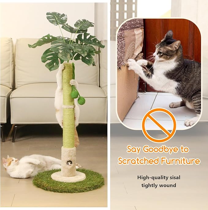 Cat Scratching Posts Cat Trees 35.43" Tall with Sisal Rope Cat Toy and Hanging Ball for Indoor,Wooden Palm Tree Cat Scratch Pole for All Cat (LightGreen)