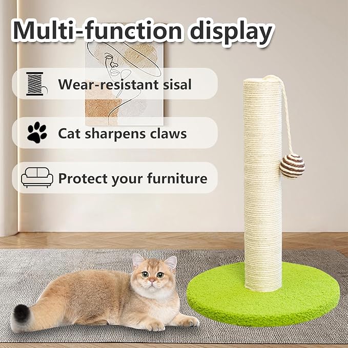 17 Inch Tall Cat Scratching Post Cat Scratcher- Sisal Rope and Carpet Scratching Pole with Hanging Ball Toy for Adult Cats and Kittens (Green)