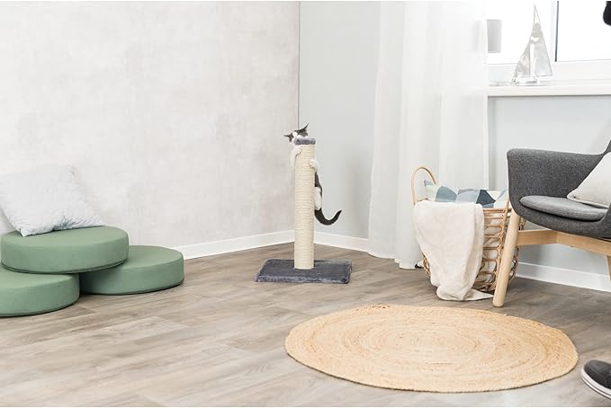 TRIXIE Parla Cat Scratching Post 24.25 Inch - Cat Scratcher with Soft Fabric Covering Base and Durable Sisal Rope - in Gray