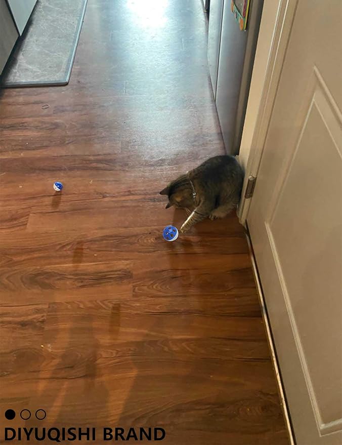 27 Pcs Cat Toys for Indoor Cats - Assorted Variety Pack with Wind-Up Mouse and Chicken, Bell Balls, and Plush Spheres for Endless Active Fun and Engagement