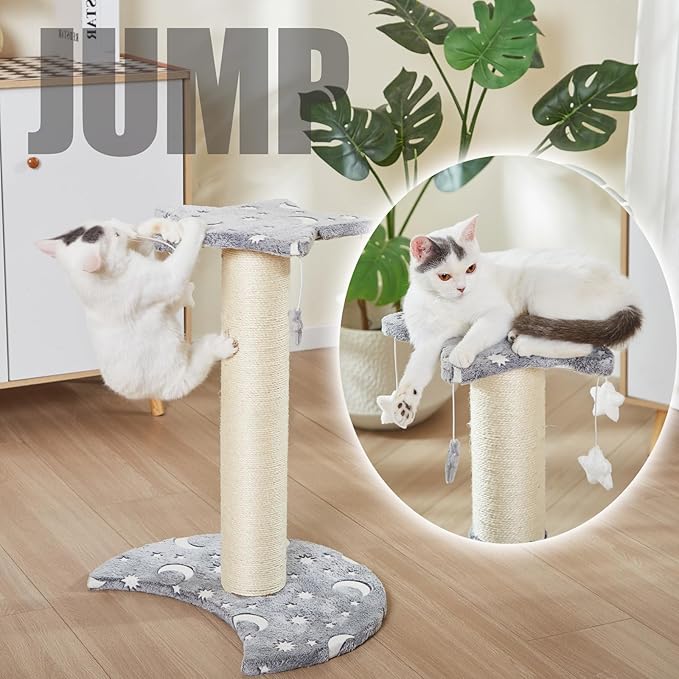 LUCKITTY Small Cat Scratching Post with Star Moon Design, Glow-in-The-Dark Fabric, 5 Plush Toys, Kitten Stratcher Tree Protecting Your Furniture,16 in Wide by 20 in High
