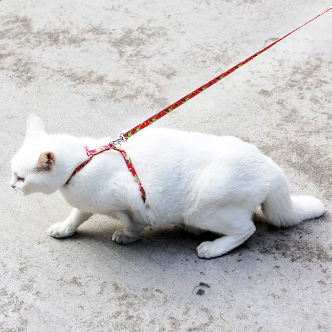 azuza Cat Harness and Leash Set for Safe Walking and Travel, Escape Proof Cat Harness, Lightweight Soft and Comfortable, Adjustable Kitten Harness for Small Medium Large Cats, Pineapple