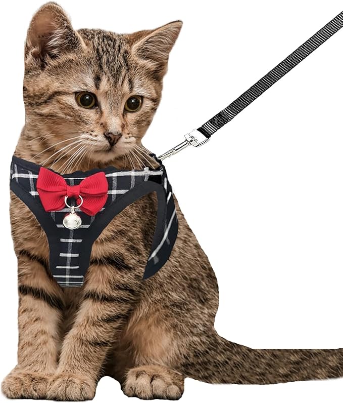 Cat Leash and Harness Set,Breathable Dog Harness,Pet Harness,Adjustable Mesh cat Harness and Leash Escape Proof for Puppy Cat Rabbit (Black, XXS)