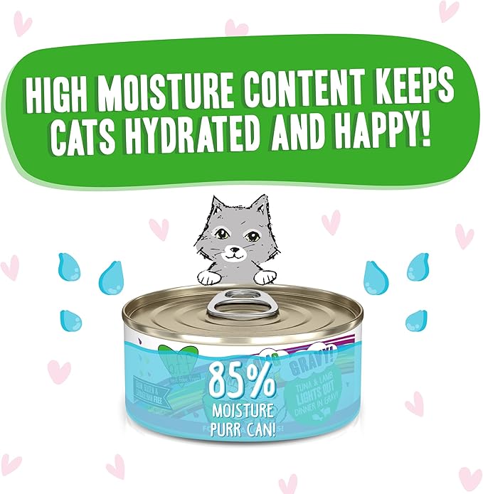 B.F.F. OMG - Best Feline Friend Oh My Gravy!, Tuna & Lamb Lights Out with Tuna & Lamb, 5.5oz Can (Pack of 8)