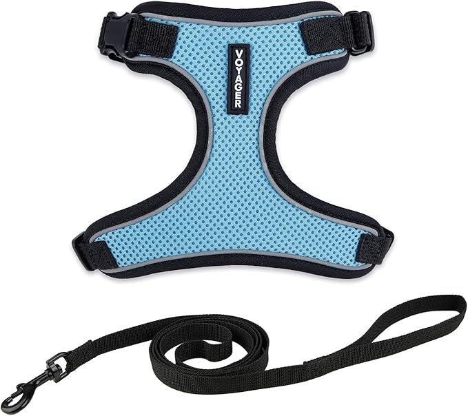 Voyager Escape Proof Cat Harness and Leash Set with Reflective Stitching, Neoprene Handle 5ft - Supports Small, Medium and Large Cats, Kittens for Walking by Best Pet Supplies - BT-Baby Blue, XXS