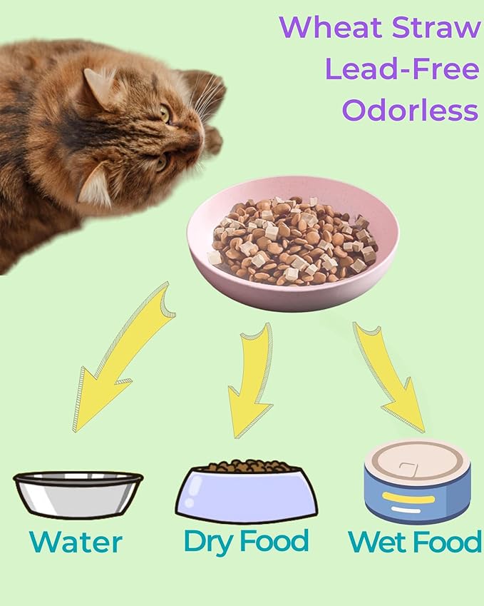 6-Pack Cat Food Bowl with Non Slip Feet, Whisker Fatigue Cat Dishes for Food, Shallow Kitten Bowls Set for Indoor Cats, 5.5" Flat Cat Plates for Wet Food