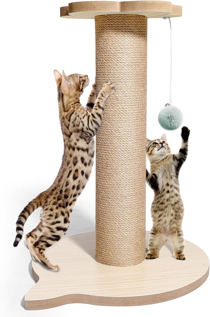 18” Tall Cat Tree for Kittens, Jute Scratching Post with Hanging Ball for Kitten & Adult Cats, Small Cat Tower with Toys, Cat Activity Tree Indoor