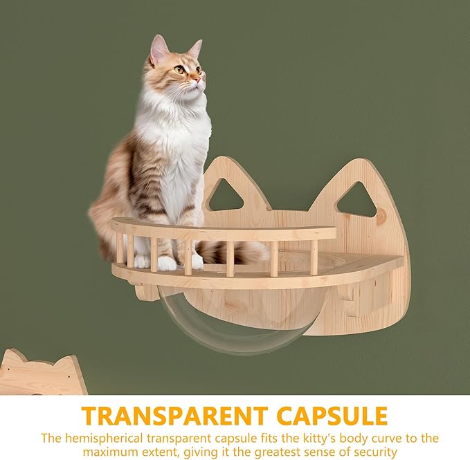 Transparent Capsule Cat Wall Furniture Set of 13, Cat Shelves with 2 Sisal Scratching Steps, 4 Tier Cat Scratching Post, Cat Bridge, Wall Mounted Cat Bed for Kitty or Cats up to 33 lbs