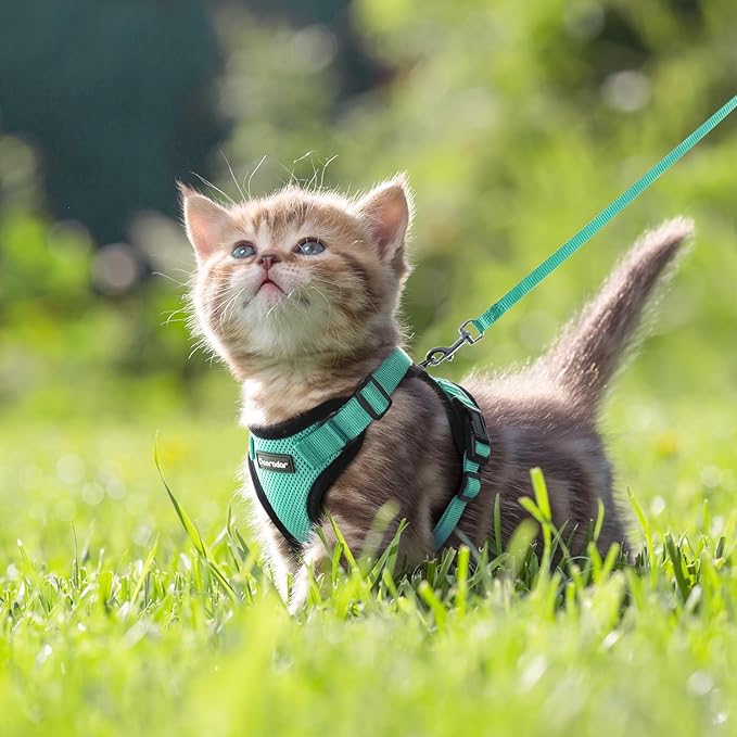 Dooradar Cat Harness and Leash Set, Escape Proof Safe Adjustable Kitten Vest Harnesses for Walking, Easy Control Soft Breathable Mesh Jacket with Reflective Strips for Cats, Green, XXS