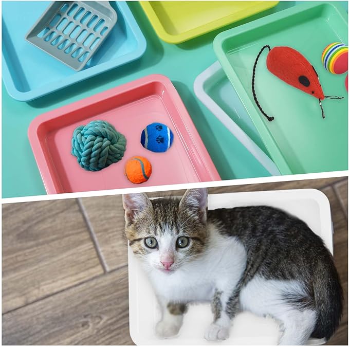 5pcs Kitten Litter Box, 9.65x7.28x0.98 inch Small Cat Litter Box with Litter Spatula Shallow Litter Pan Plastic Litter Tray Portable Cat Waste Tray Kitten Boxes for Indoor Cats Low Entry (5 Colors)