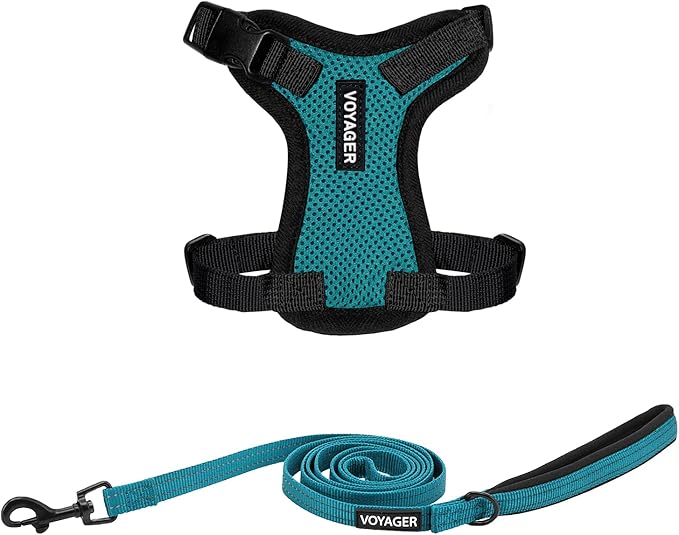 Voyager Step-in Lock Adjustable Cat Harness w. Cat Leash Combo Set with Neoprene Handle 5ft - Supports Small, Medium and Large Breed Cats by Best Pet Supplies - Turquoise/Black Trim, XXXS