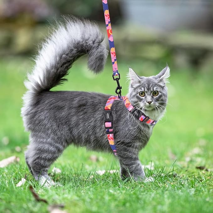 PUPTECK Adjustable Cat Harness and Leash Set Escape Proof Kitten Strap Collar for Walking Travel, Printed Pink