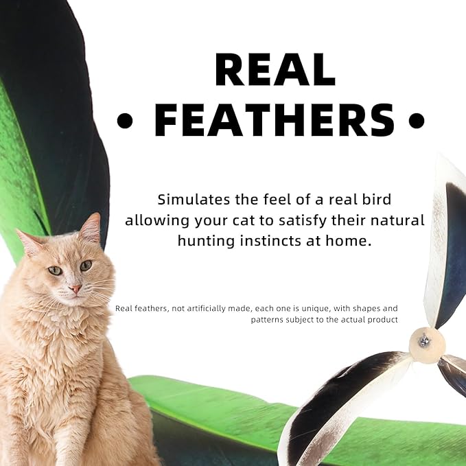 ALL FOR PAWS Feather Cat Wand Toy Kitten Teaser Toys Telescopic Wand Kitty Cat Enrichment Toy for Indoor Cats (Green)