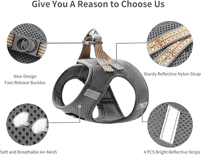 Cat Harness and Leash for Walking Escape Proof, Adjustable Soft Mesh Comfortable Vest Harnesses for Cats, Breathable Reflective Strips Easy to Put on Step-in Kitty Jacket (Grey, M)