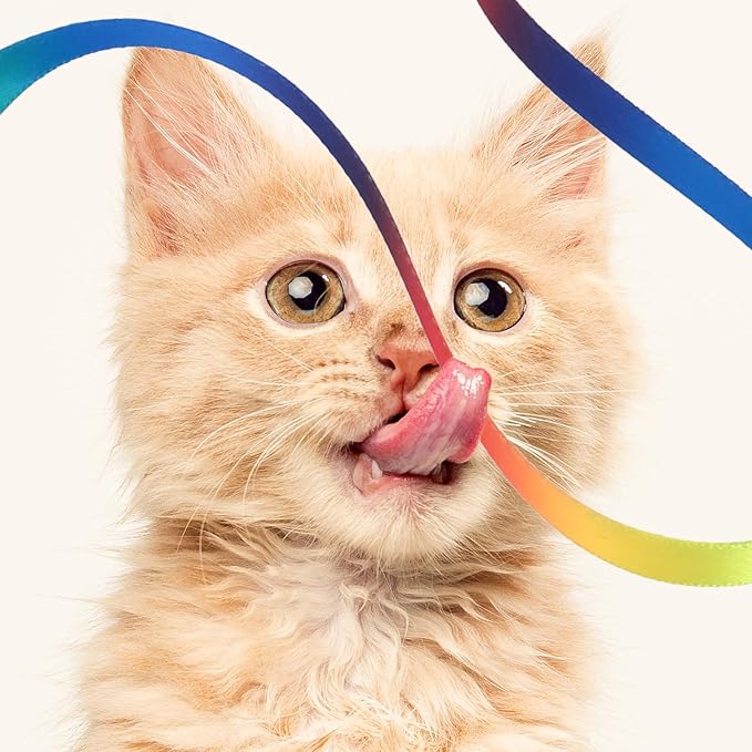 Amaxiu Cat Wand Toy Set, Interactive Cat Wand Toy with Rainbow Ribbon String, Rainbow Cloth String, Leopard Print Cloth String for Small Cats Kittens Indoor Training Catcher (3 Packs)