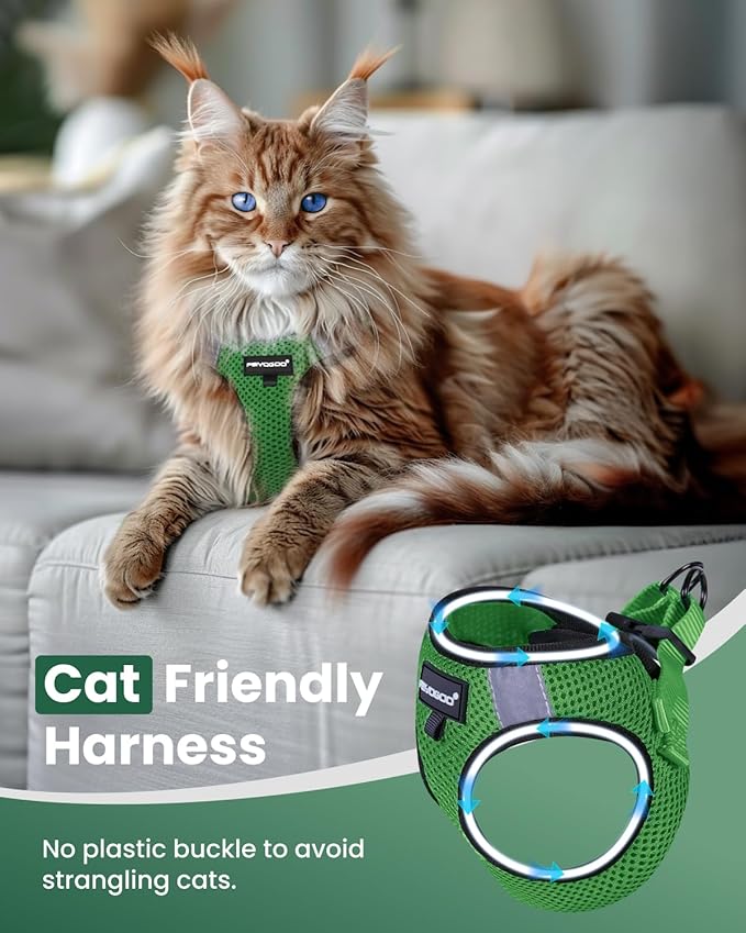FAYOGOO Cat Harness, Cat Leash and Harness Set for Walking Escape Proof, Harness for Small Cats/Small Dogs, Large Kitten/Puppy Harness and Leash, Harness for Cats S-XXL(Neon Green, Medium)