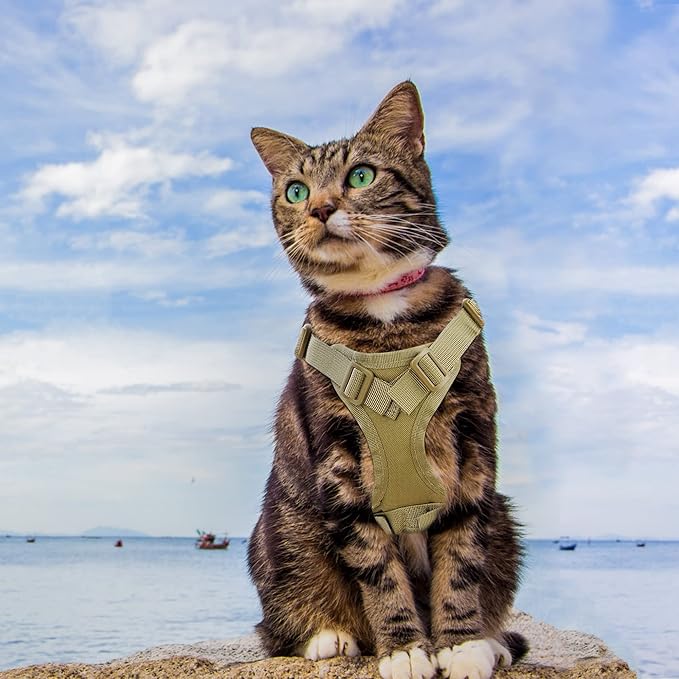 Tactical Cat Harness for Walking Escape Proof, Adjustable Pet Vest Harness, Soft Mesh with Control Handle for Large Cat Small Dog, Gift with Patch