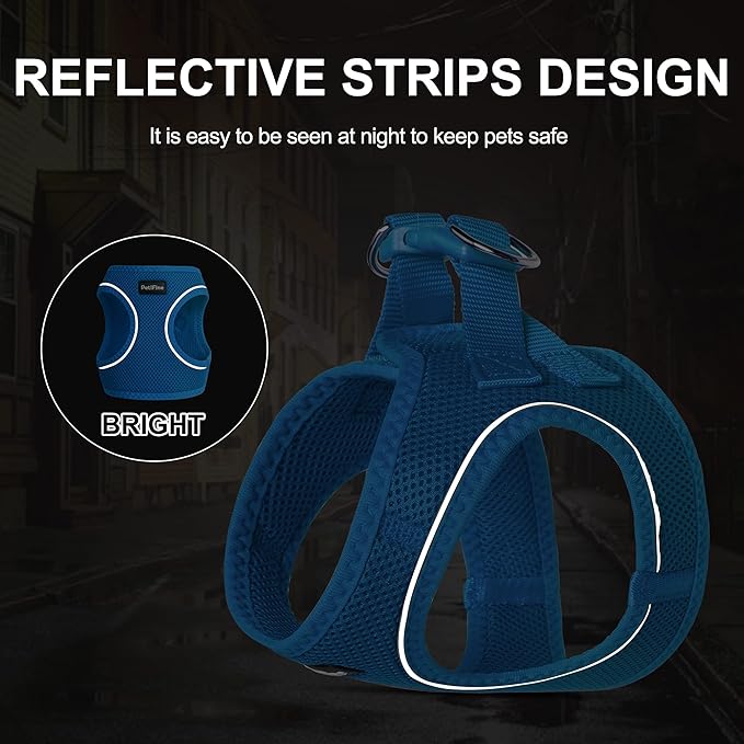 PetiFine Step in Small Dog Harness and Leash Set, Breathable All Weather Air Mesh Reflective Escape Proof, Step-in Vest Harnesses for Puppy(XS, Baby Blue)
