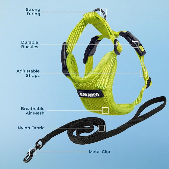 Voyager Step-in Lock Adjustable Cat Harness w. Cat Leash Combo Set with Neoprene Handle 5ft - Supports Small, Medium and Large Breed Cats by Best Pet Supplies - Lime Green, S