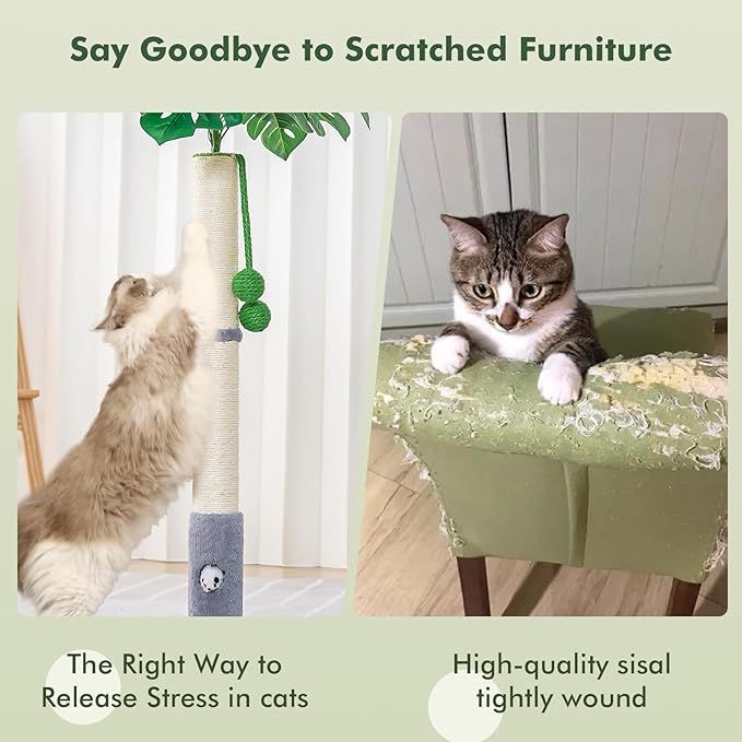 Cat Scratching Posts for All Cats with Hanging Ball and Sisal Rope Cat Toy, Simple Design - for Larger Cats - 35.43" Tall,Wooden Palm Tree Premium Basics Cat Toys Kitten（Grey