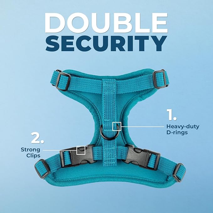 Voyager Escape Proof Cat Harness and Leash Set with Reflective Stitching, Neoprene Handle 5ft - Supports Small, Medium and Large Cats, Kittens for Walking by Best Pet Supplies - Turquoise, XXS