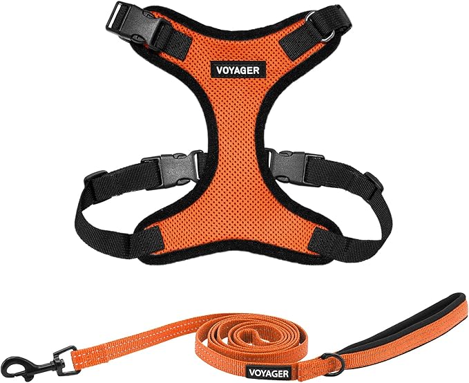 Voyager Step-in Lock Dog Harness w Reflective Dog Leash Combo Set with Neoprene Handle 5ft - Supports Small, Medium and Large Breed Puppies/Cats by Best Pet Supplies - Orange/Black Trim, M