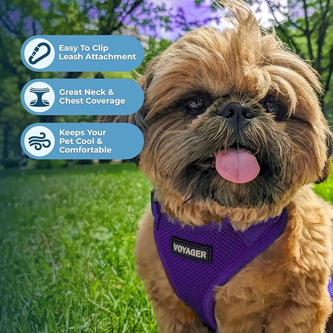 Voyager Step-in Lock Pet Harness - All Weather Mesh, Adjustable Step in Harness for Cats and Dogs by Best Pet Supplies - Purple, M