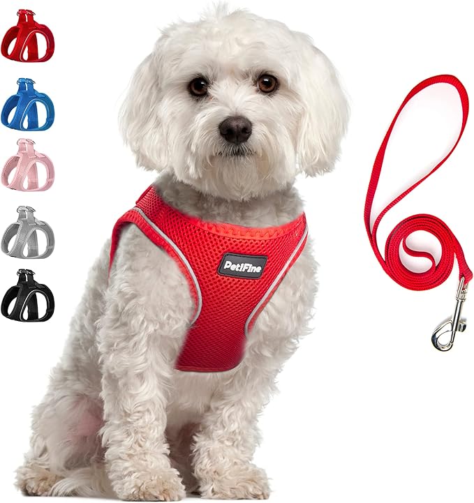PetiFine Step in Small Dog Harness and Leash Set, Breathable All Weather Air Mesh Reflective Escape Proof, Step-in Vest Harnesses for Puppy(S, Red)