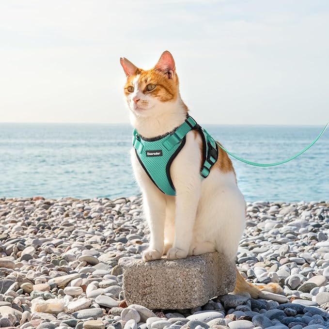 Dooradar Cat Harness and Leash Set, Escape Proof Safe Adjustable Kitten Vest Harnesses for Walking, Easy Control Soft Breathable Mesh Jacket with Reflective Strips for Cats, Green, M