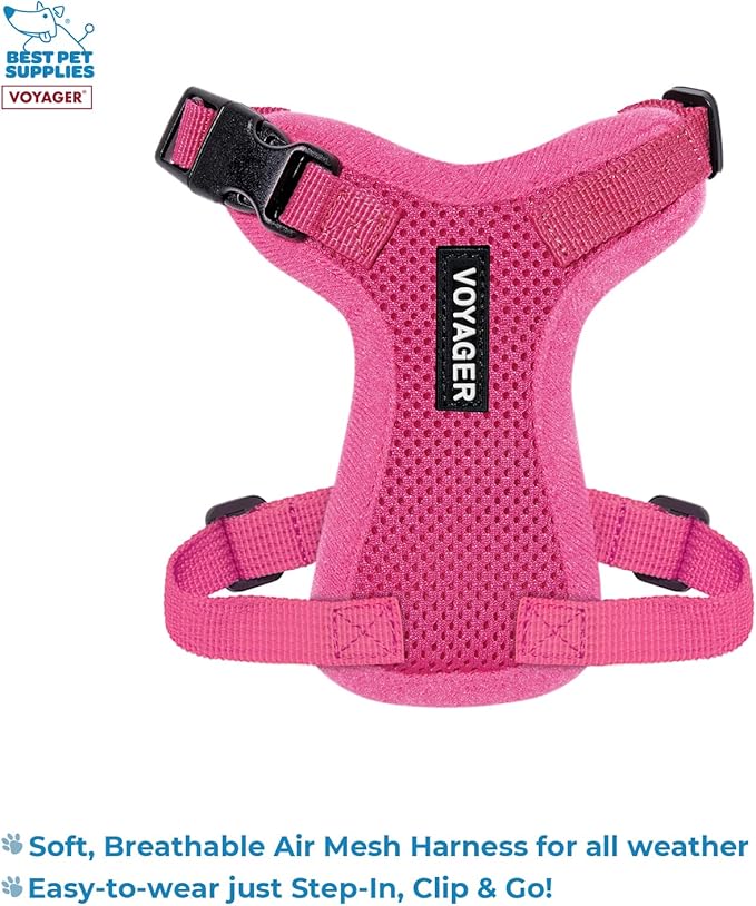 Voyager Step-in Lock Adjustable Cat Harness w. Cat Leash Combo Set with Neoprene Handle 5ft - Supports Small, Medium and Large Breed Cats by Best Pet Supplies - Fuchsia, XXS