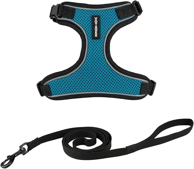 Voyager Escape Proof Cat Harness and Leash Set with Reflective Stitching, Neoprene Handle 5ft - Supports Small, Medium and Large Cats, Kittens for Walking by Best Pet Supplies - BT-Turquoise, XXXS