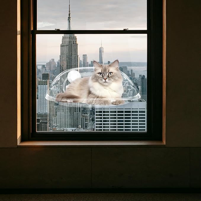 Cat Window Hommock Bed - Clear Plastic with 2 Strong Suction Cups, Space-Saving Window Mounted Shelf for Indoor Cats