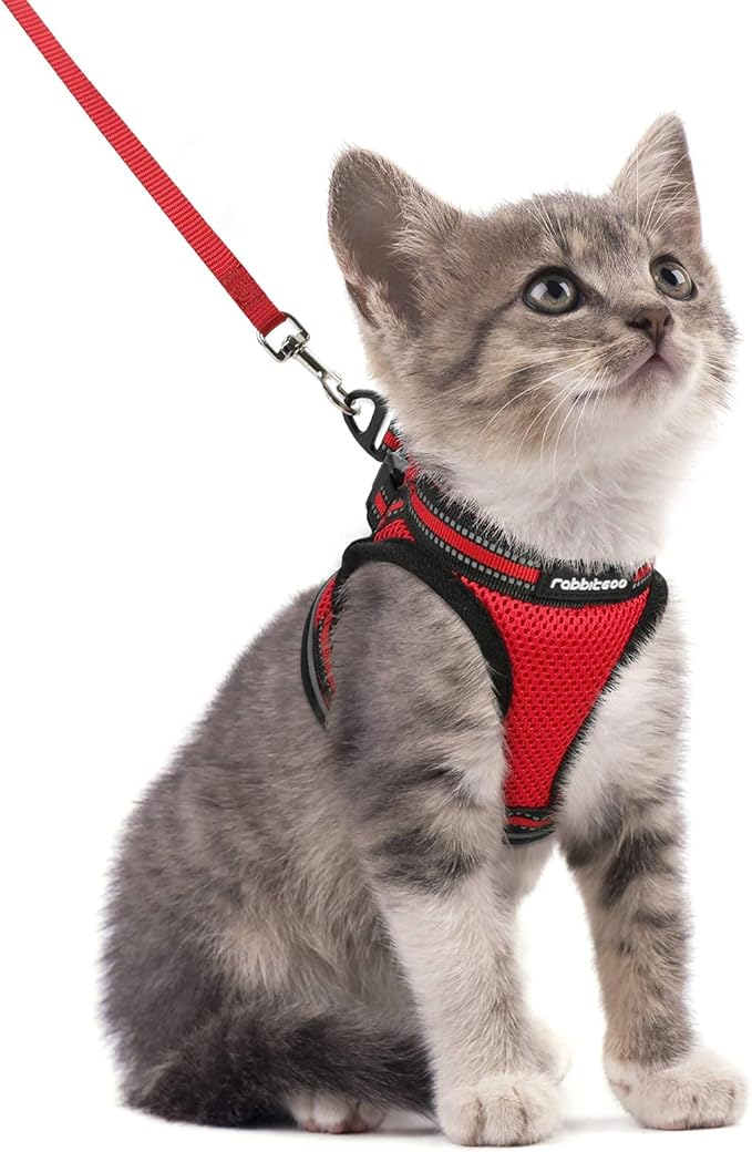 rabbitgoo Cat Harness and Leash Set for Walking Escape Proof, Adjustable Soft Kittens Vest with Reflective Strip for Cats, Comfortable Outdoor Vest, Red, S