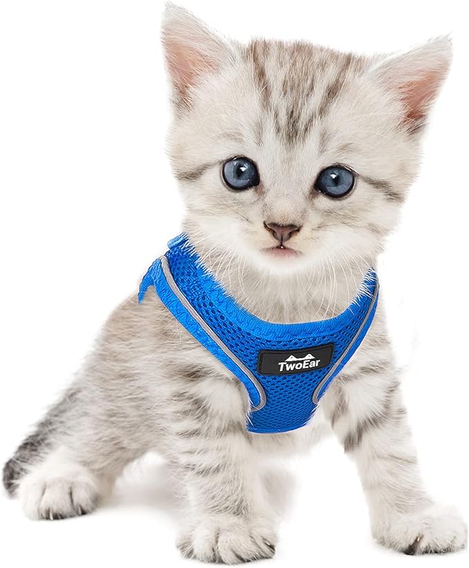 TwoEar Cat Harness Escape Proof, Soft Dog Vest Harness Adjustable, Breathable Mesh Step-in Puppy Walking Jacket Reflective Easy Control for Extral Small Pets for Outdoor Walking(XXXS, Blue)