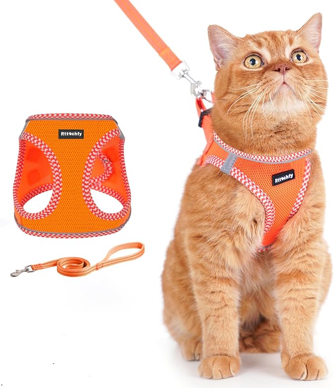 Rttochfy Cat Harness and Leash Set, Escape Proof Kitten Harness, Soft and Breathable Vest with Reflective Strip, Easy to Wear for Cats Walking and Traveling (Orange, XXS)