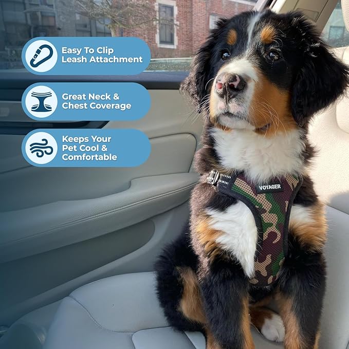 Voyager Step-in Lock Dog Harness w Reflective Dog Leash Combo Set with Neoprene Handle 5ft - Supports Small, Medium and Large Breed Puppies/Cats by Best Pet Supplies - Army/Black Trim, L