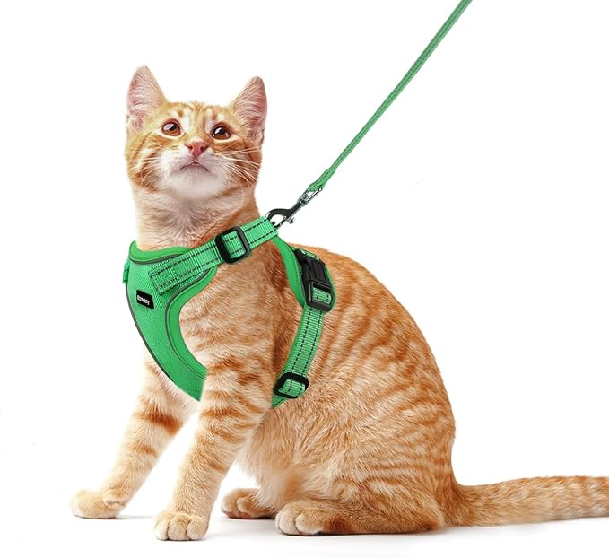 Rttochfy Cat Harness and Leash Set, Adjustable and Reflective Cat Vest, Escape Proof Kitten Harness, Easy to Put on with 3 Buckles for Cats Walking and Traveling (Green, S)