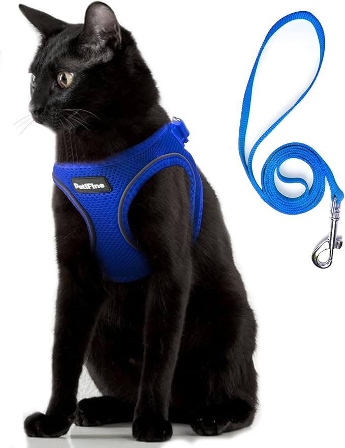 PetiFine Extra Small Step in Dog Harness and Leash Set, Cat Harness and Leash Escape Proof, All Weather Mesh Reflective, Step-in Air Vest Harnesses for Puppy(XXS, baby blue)