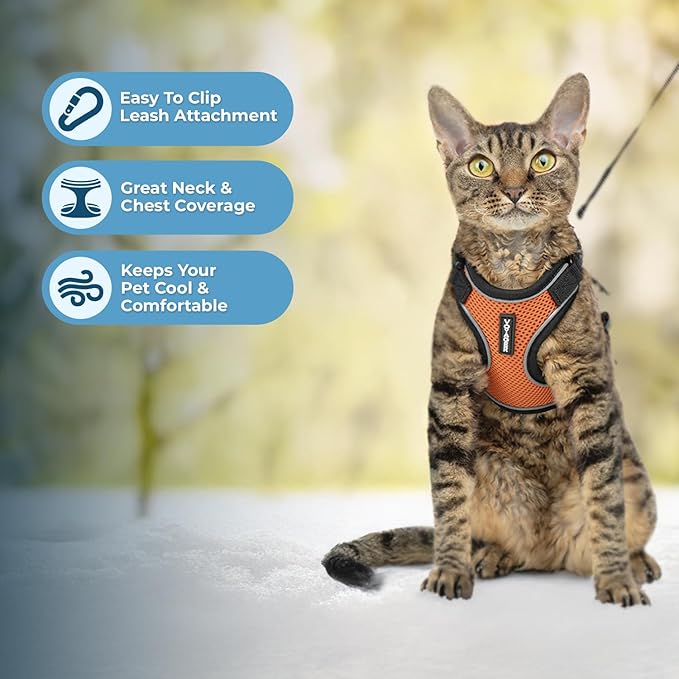 Voyager Escape Proof Cat Harness and Leash Set with Reflective Stitching, Neoprene Handle 5ft - Supports Small, Medium and Large Cats, Kittens for Walking by Best Pet Supplies - Black Trim-Orange, S